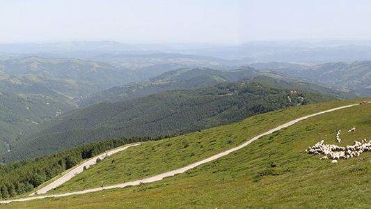 Bulgaria