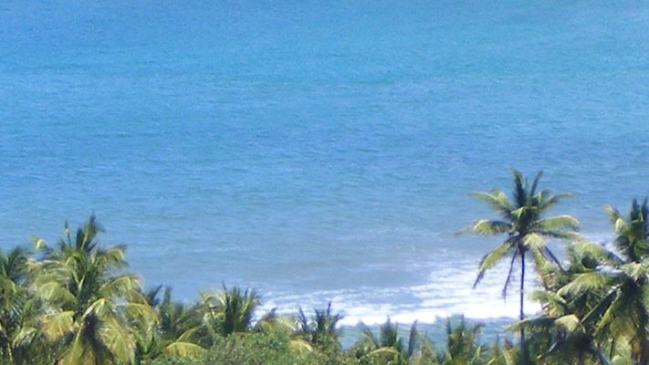 Dominica