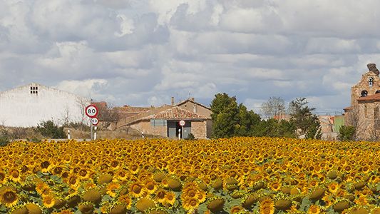 Spain