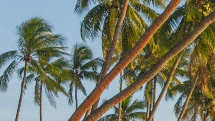 Fiji