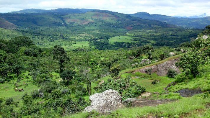 Guinea