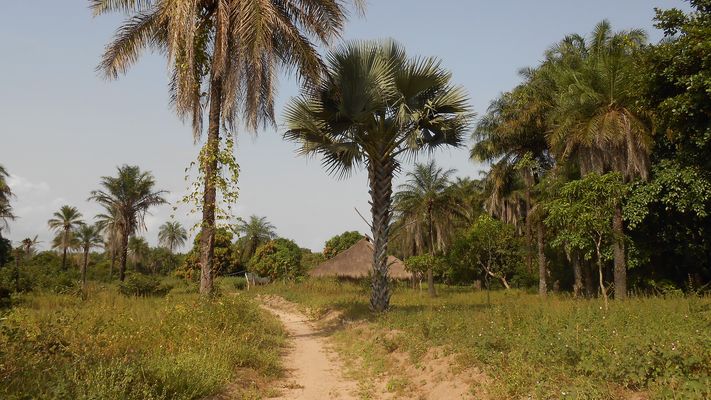 Guinea-Bissau