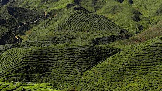 Malaysia