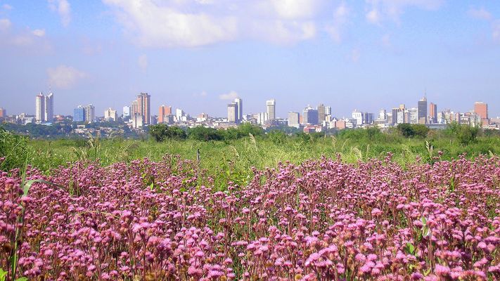 Paraguay