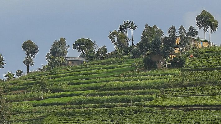 Rwanda